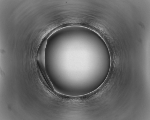 X0000090921073200708061538