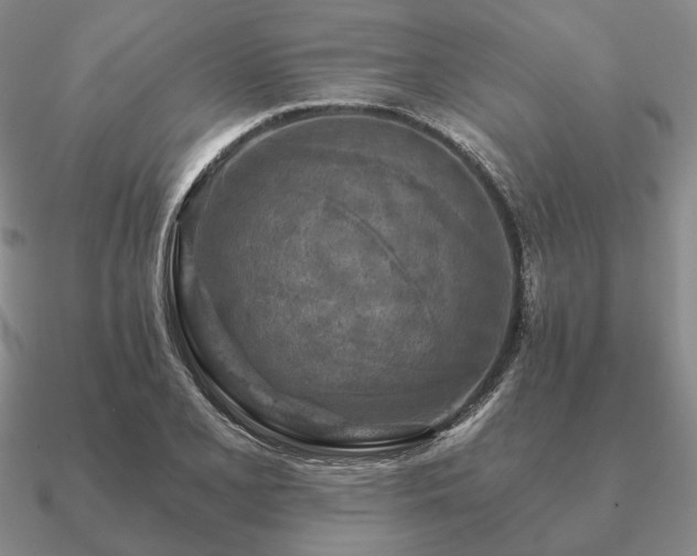 X0000090921077200708061538