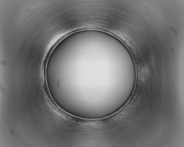 X0000090921078200708061538