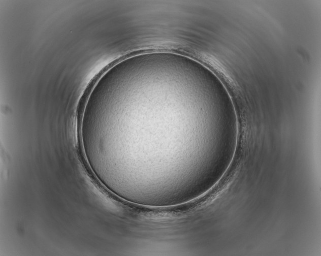 X0000090921079200708061538