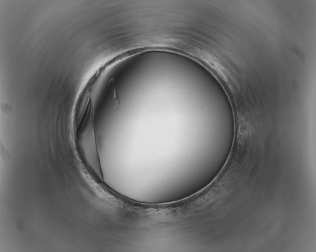 X0000090921080200708061538