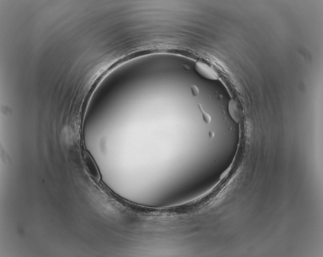 X0000090921081200708061538