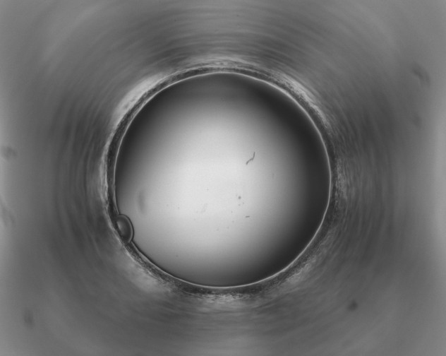 X0000090921082200708061538