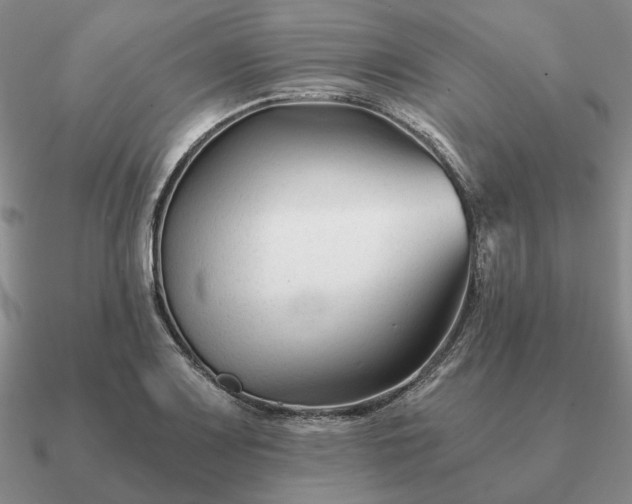 X0000090921083200708061538