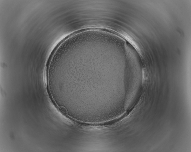 X0000090921084200708061538