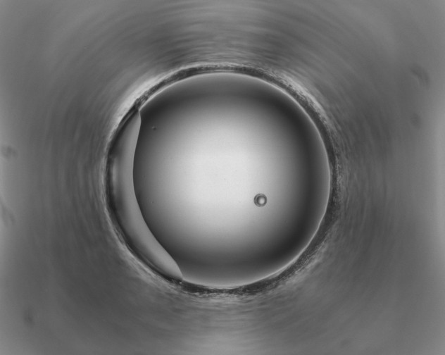 X0000090921085200708061538