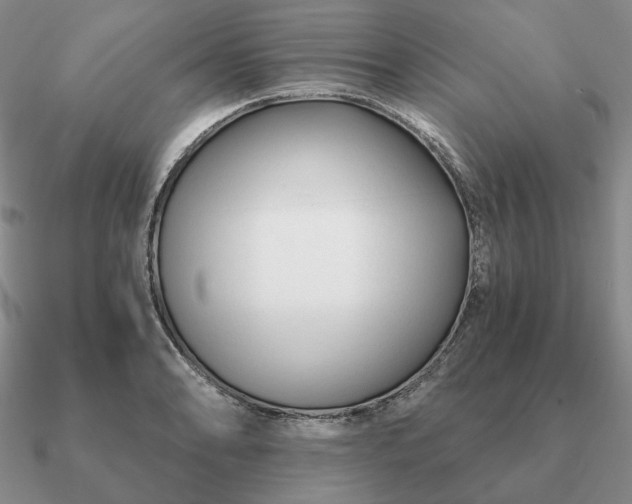 X0000090921086200708061538