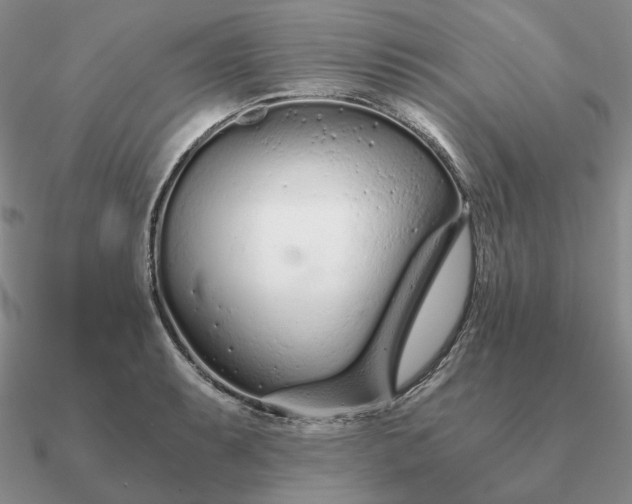 X0000090921087200708061538