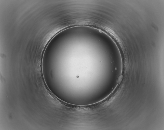 X0000090921089200708061538