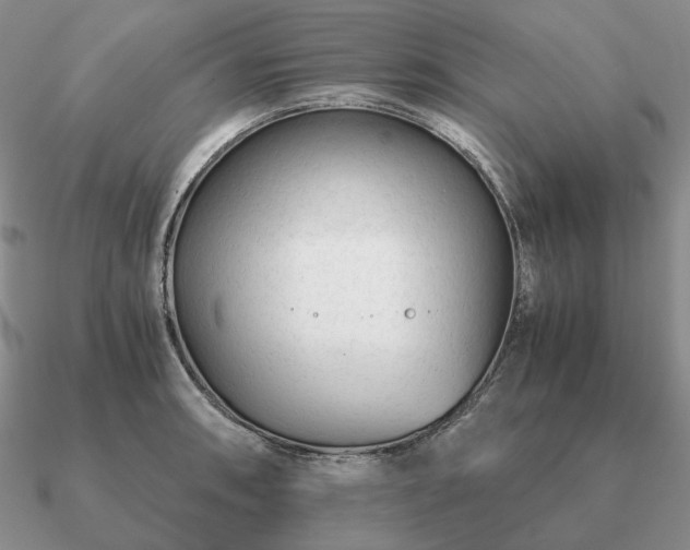 X0000090921090200708061538