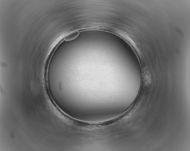 X0000090921091200708061538