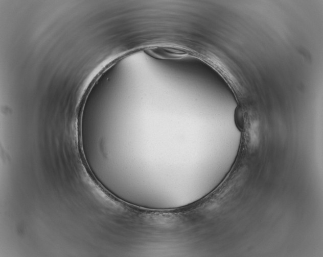 X0000090921092200708061538