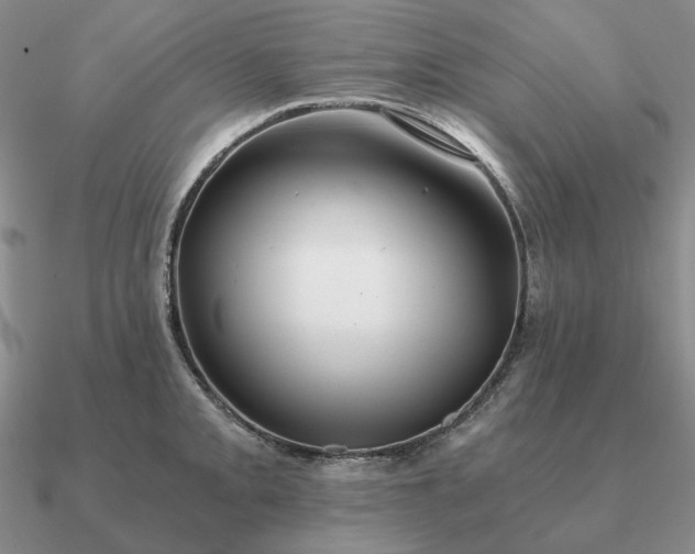 X0000090921093200708061538