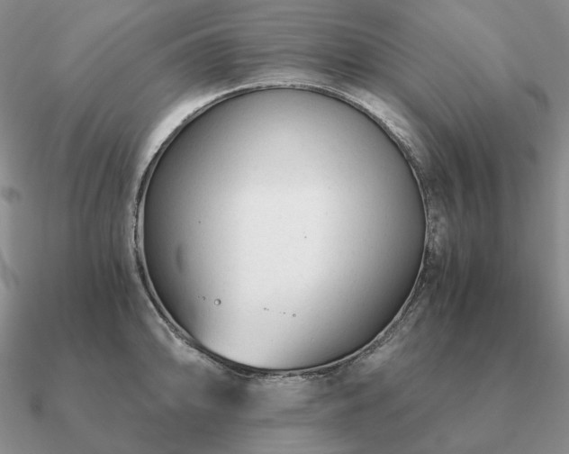 X0000090921094200708061538