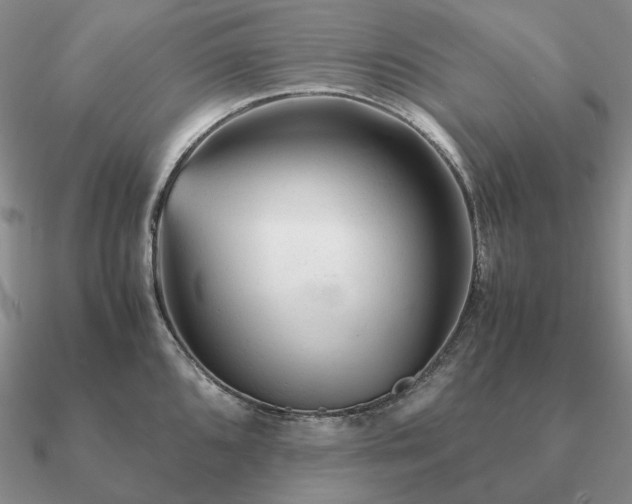 X0000090921096200708061538