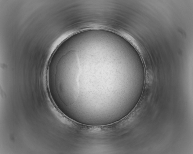 X0000090921098200708061538