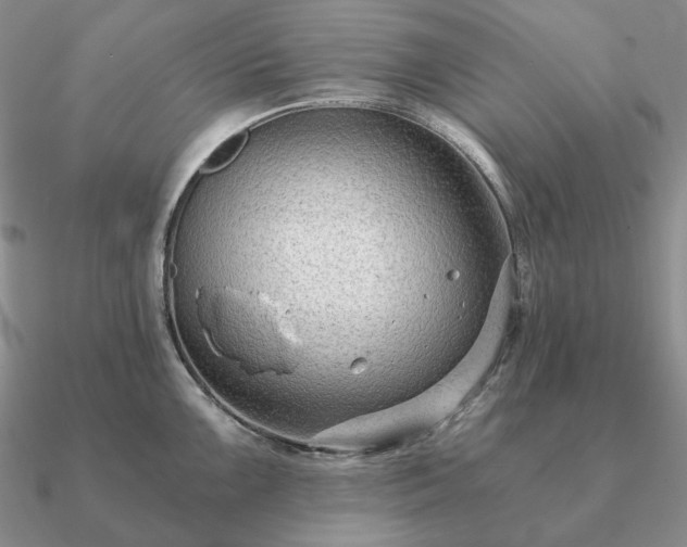 X0000090921099200708061538