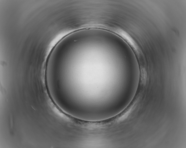 X0000090921102200708061538