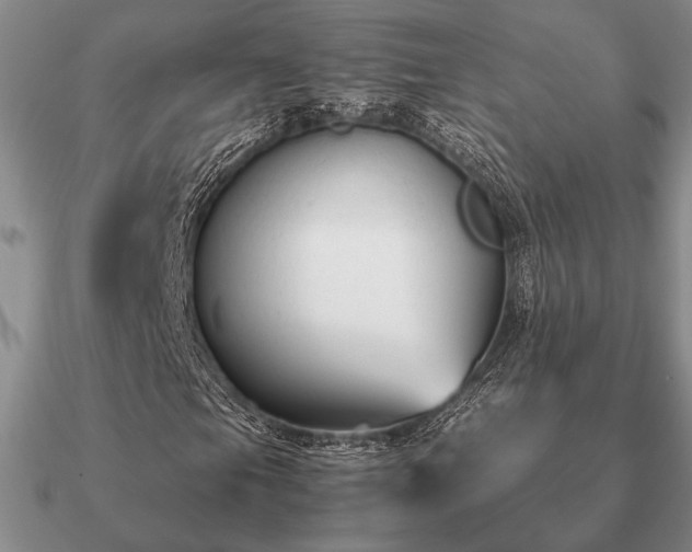 X0000090921105200708061537