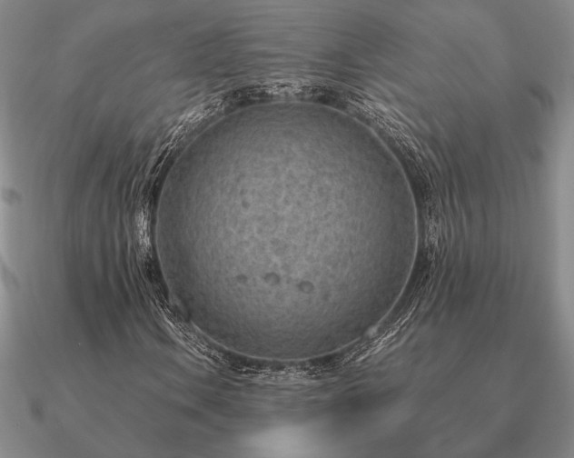 X0000090921106200708061537