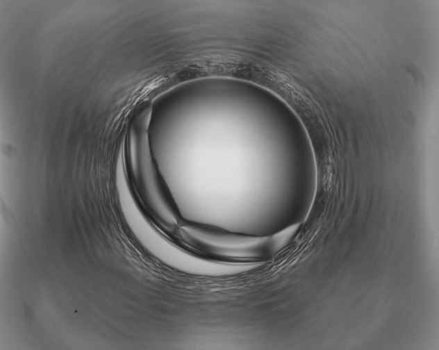 X0000090921108200708061537
