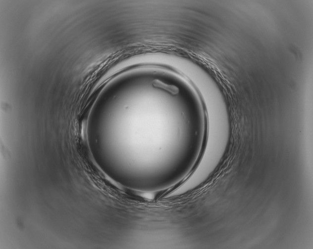 X0000090921110200708061537