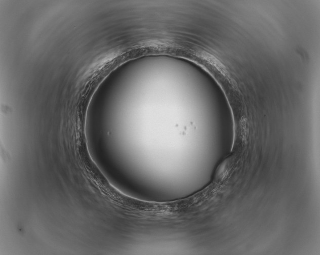 X0000090921111200708061537