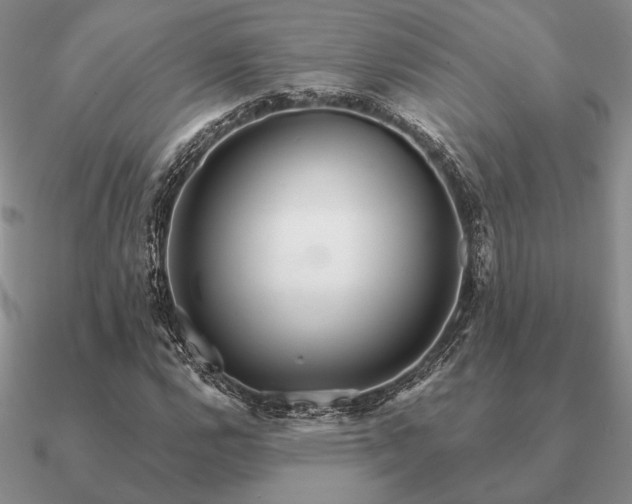 X0000090921112200708061537