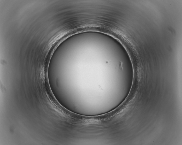 X0000090921113200708061537