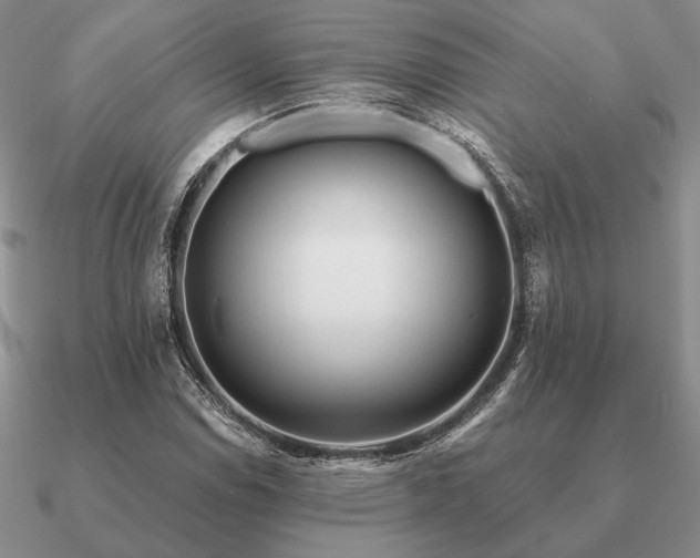X0000090921114200708061537