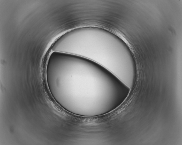 X0000090921116200708061537