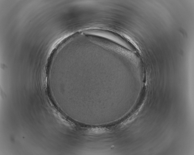 X0000090921117200708061537