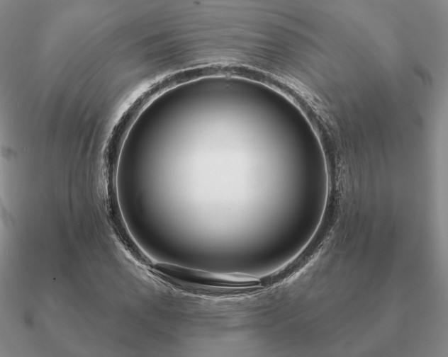 X0000090921118200708061537