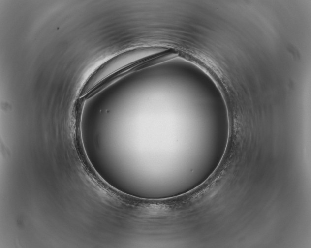 X0000090921119200708061537