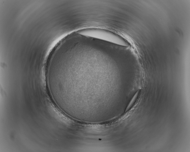 X0000090921120200708061537