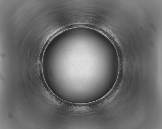 X0000090921121200708061537