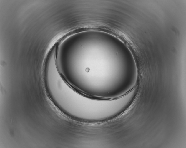 X0000090921122200708061537
