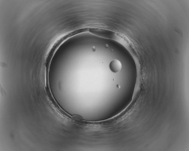 X0000090921123200708061537