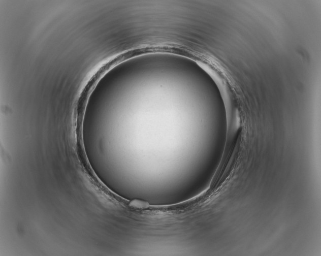 X0000090921124200708061537
