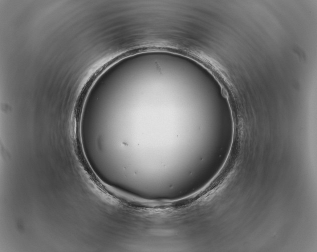 X0000090921125200708061537