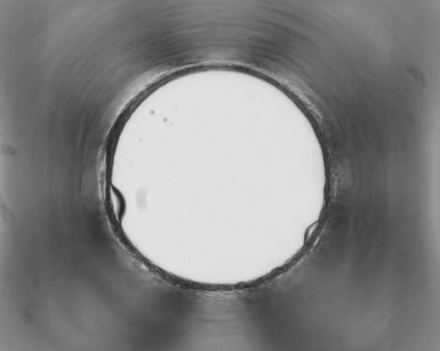 X0000090921126200708061537