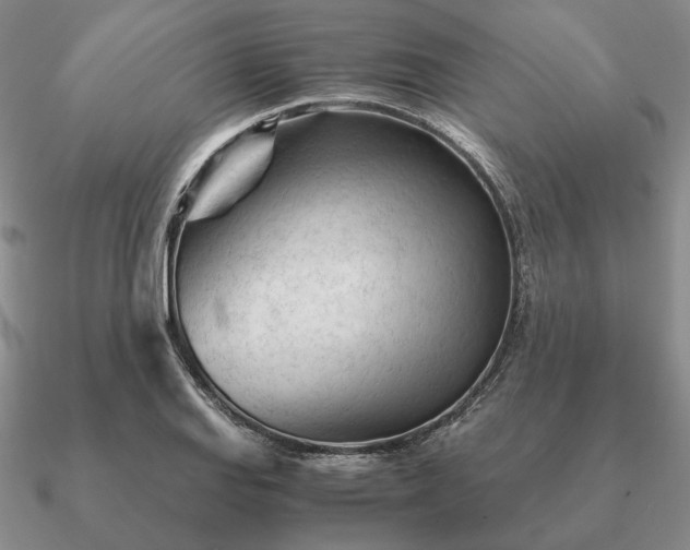 X0000090921127200708061537
