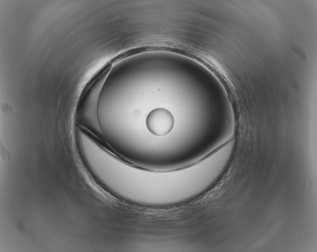 X0000090921128200708061537