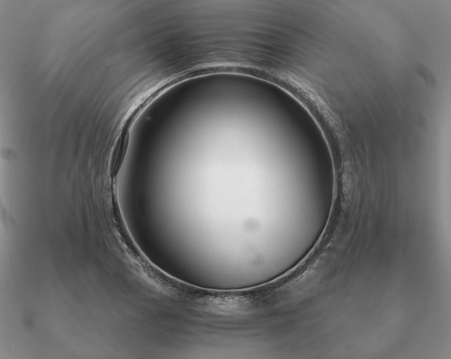 X0000090921129200708061537