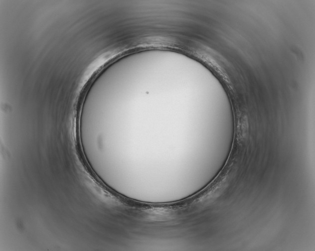 X0000090921130200708061537