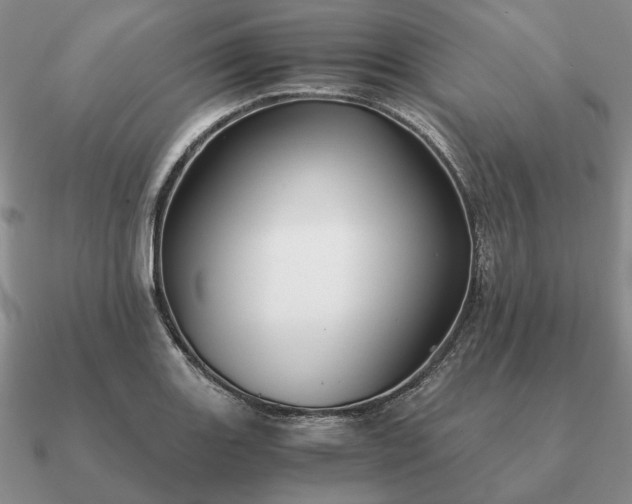 X0000090921131200708061537