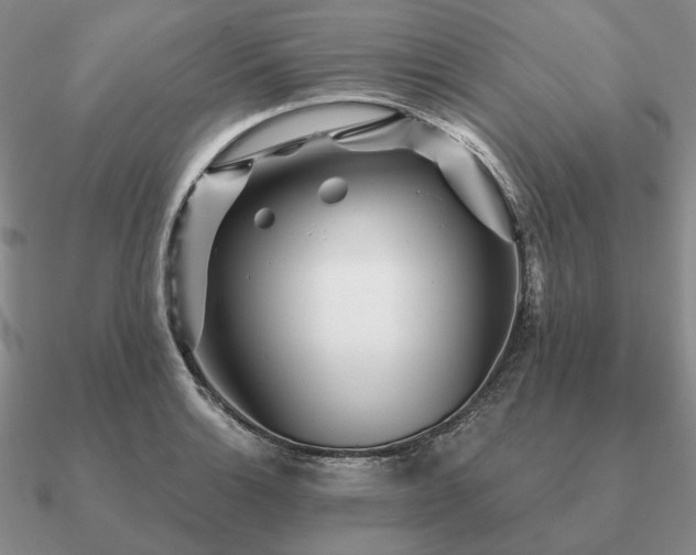 X0000090921132200708061537