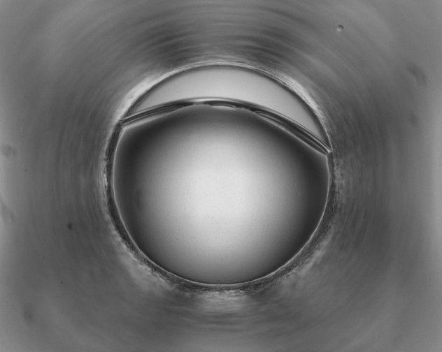 X0000090921133200708061537
