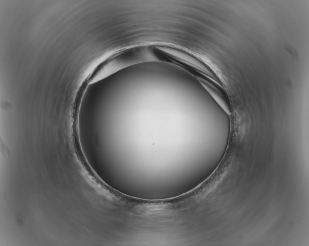 X0000090921134200708061537