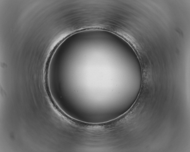 X0000090921135200708061538